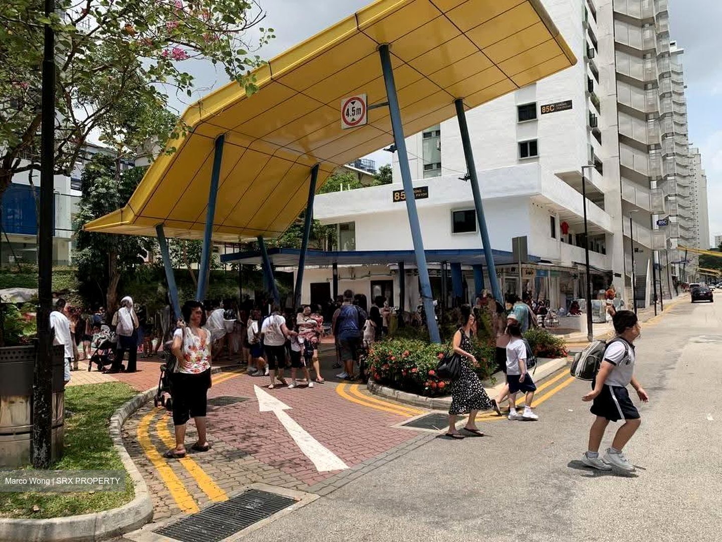 Lorong 4 Toa Payoh (D12), Shop House #608437191